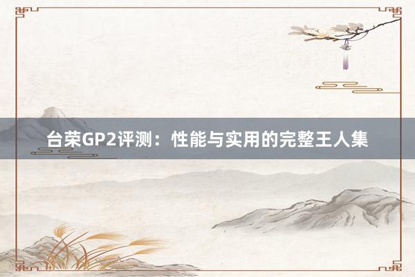 台荣GP2评测：性能与实用的完整王人集